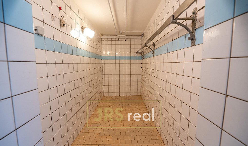 Pronájem obchodních prostor 143 m², Veselí nad Moravou – náhled fotky 7