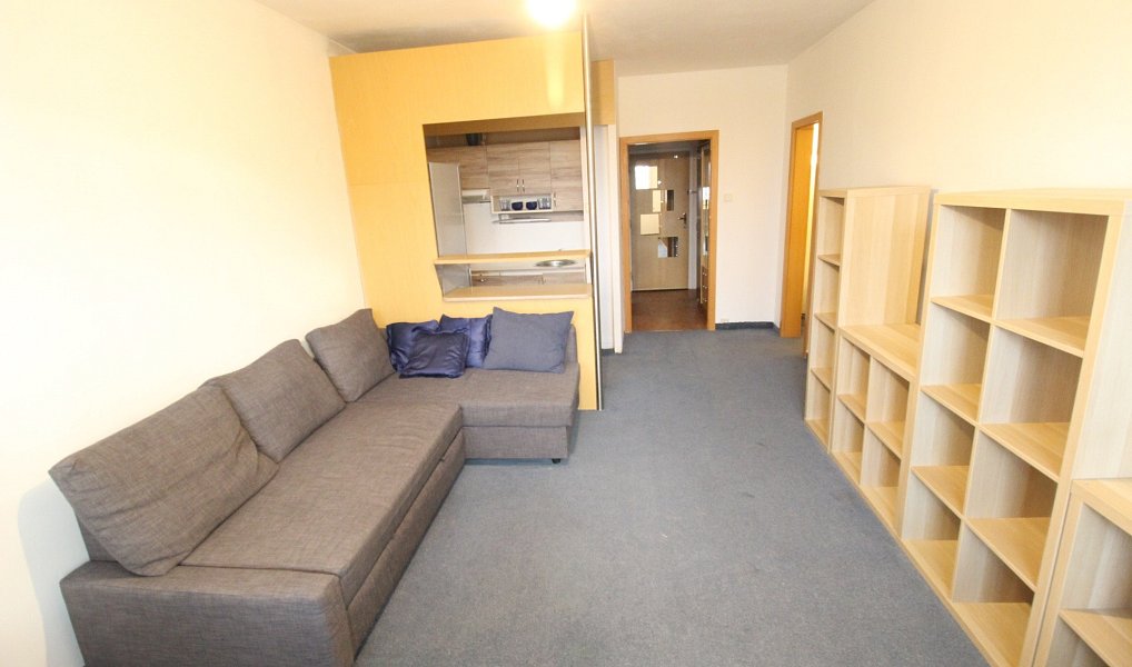 Pronájem bytu 1+kk 31 m², Praha – náhled fotky 2