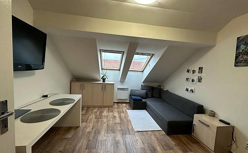 Prodej bytu 1+kk 20 m², Olomoucká, Brno - Černovice