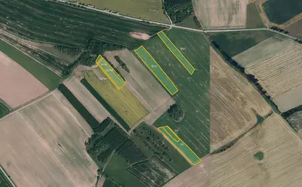 Prodej pole 9 996 m², Milešín, okres Žďár nad Sázavou