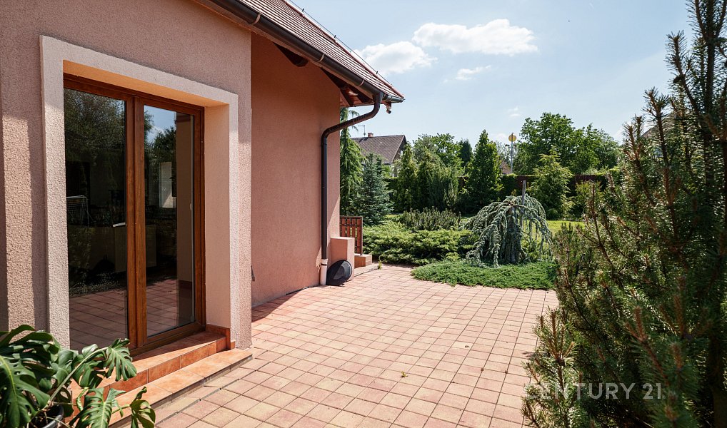 Prodej domu 545 m² s pozemkem 2 148 m², Chlumčany – náhled fotky 44