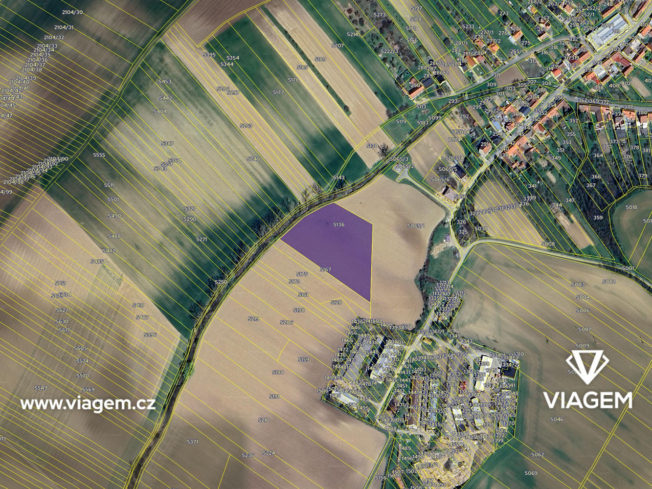 Prodej pole 2 817 m² – fotografie 4