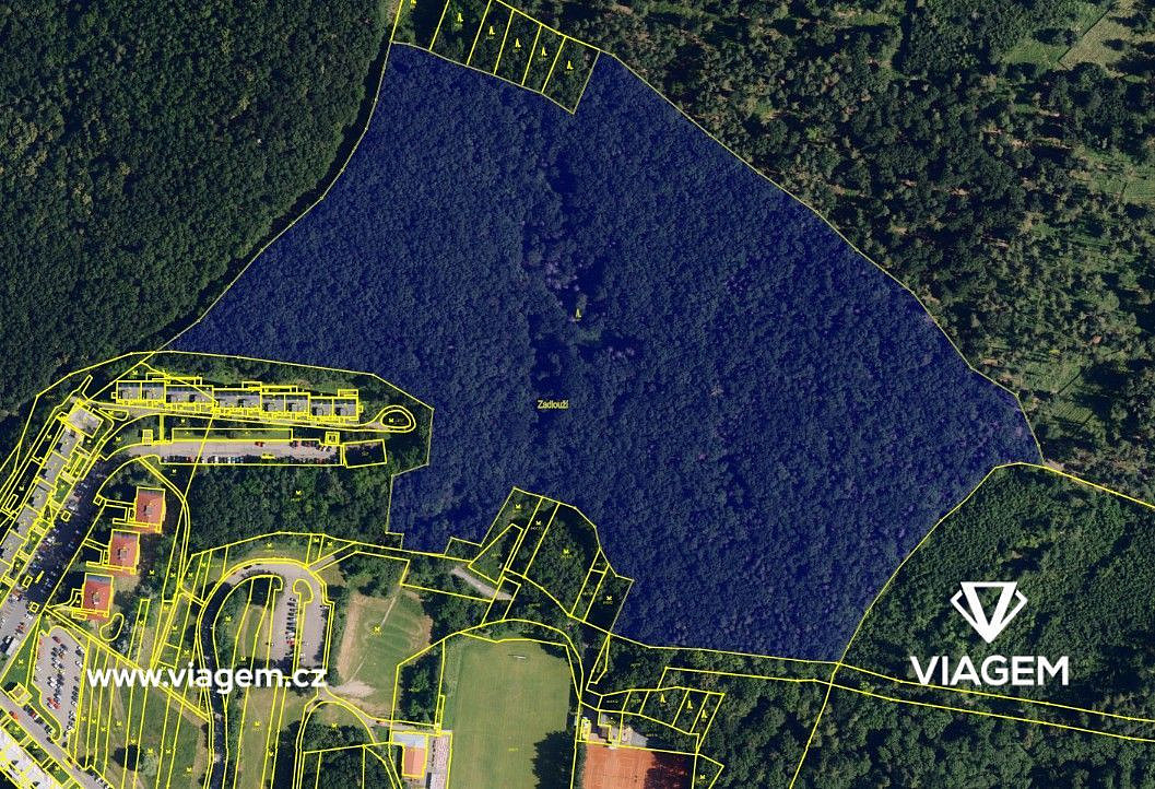 Prodej lesa 6 591 m² – fotografie 2