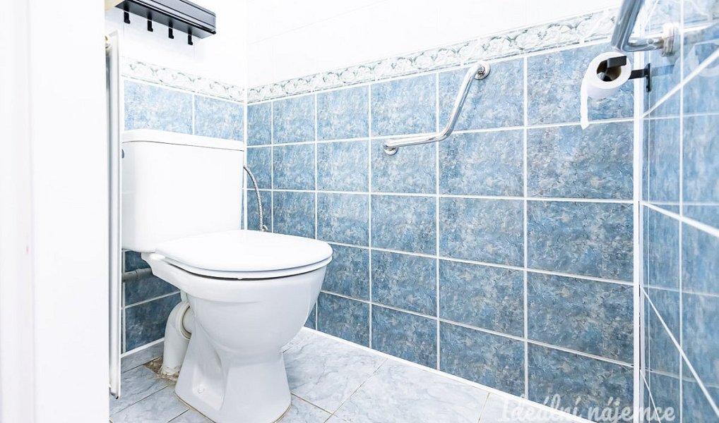 Pronájem domu 140 m² s pozemkem 103 m², Brandýs nad Labem-Stará Boleslav – náhled fotky 26