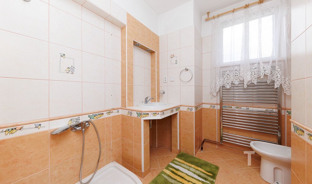 Prodej domu 331 m² s pozemkem 536 m², Drnovice – náhled fotky 19