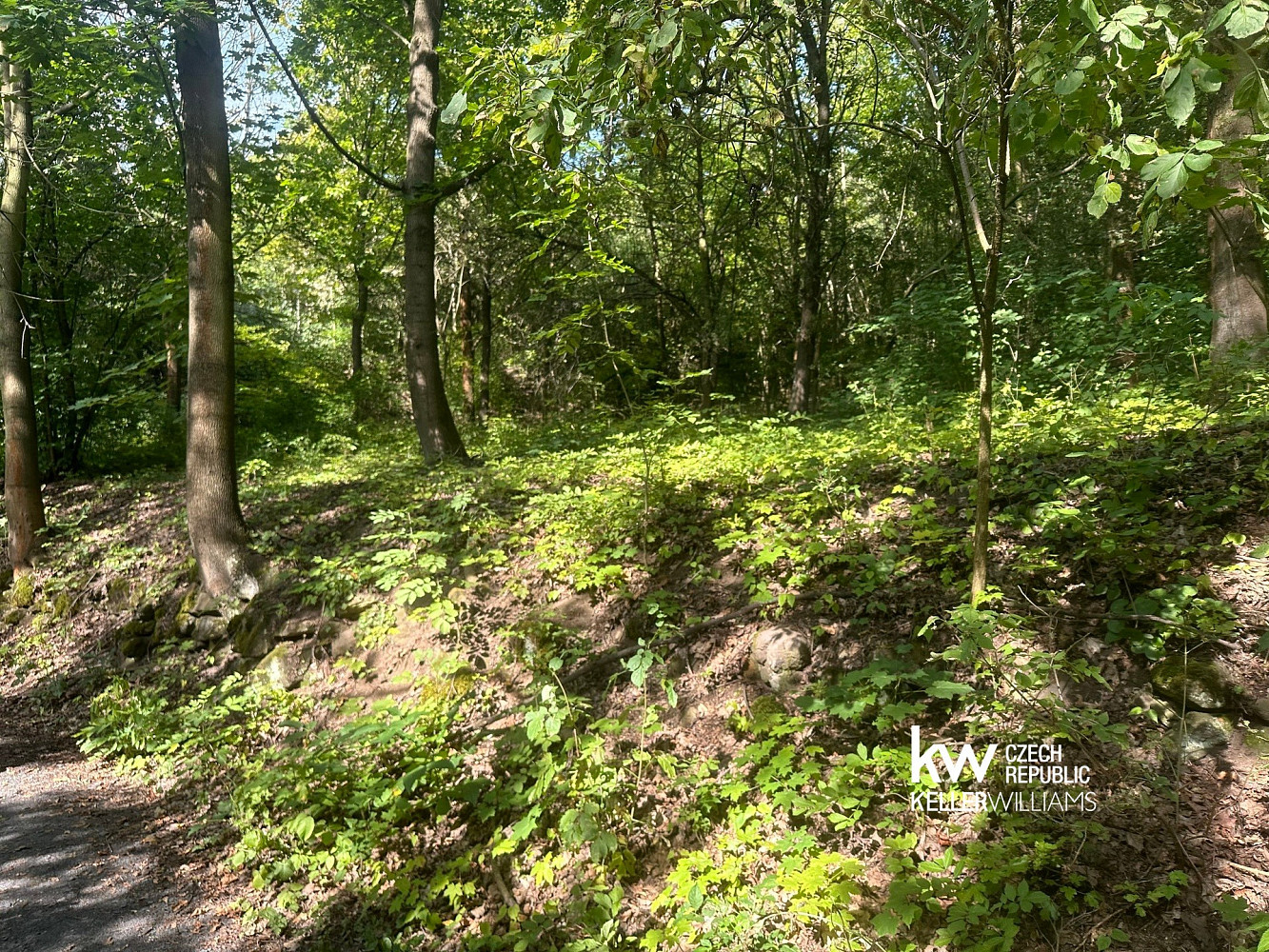 Prodej pozemku 22 760 m² – fotografie 4