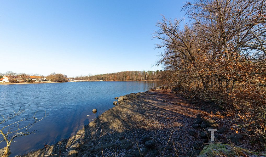 Prodej stavebního pozemku 133 994 m², Vrchotovy Janovice – náhled fotky 15