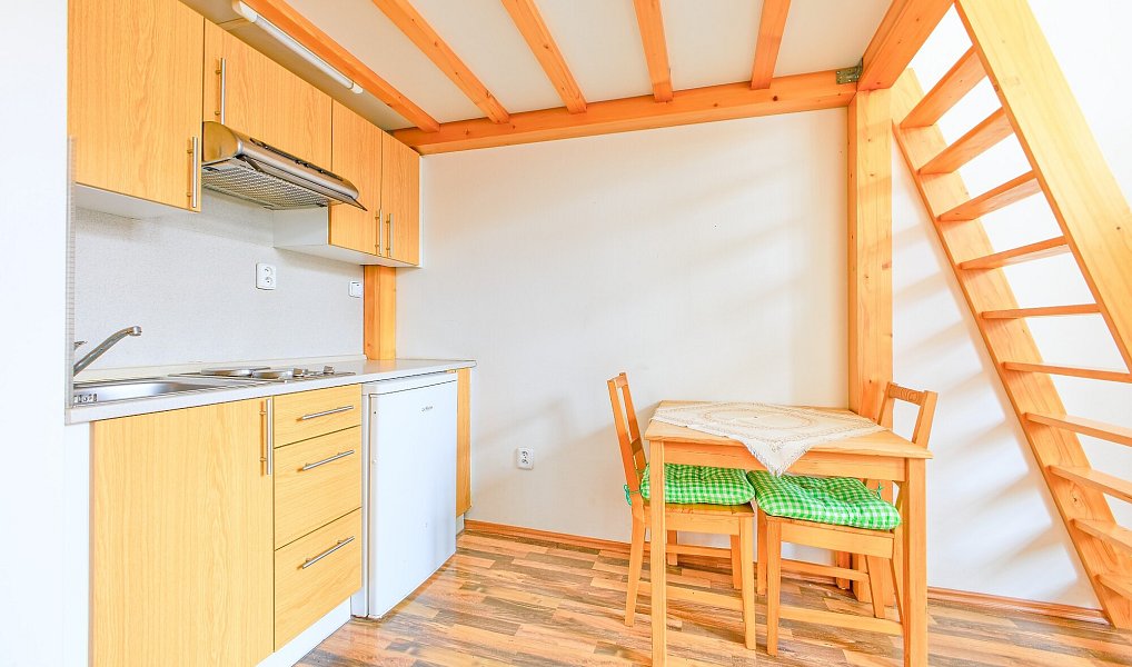 Pronájem bytu 1+kk 20 m², Brno – náhled fotky 2