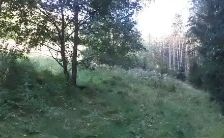 Dražba louky 496 m², Roztoky u Semil