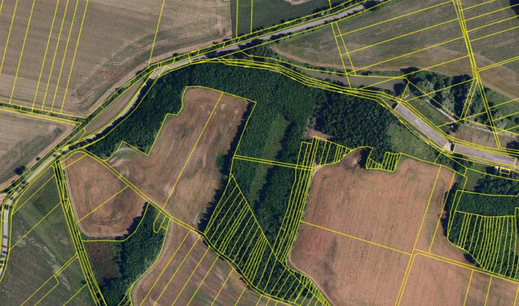 Prodej lesa 3 133 m², Vémyslice – náhled fotky 4