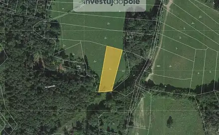 Prodej louky 3 979 m², Neurazy, okres Plzeň-Jih