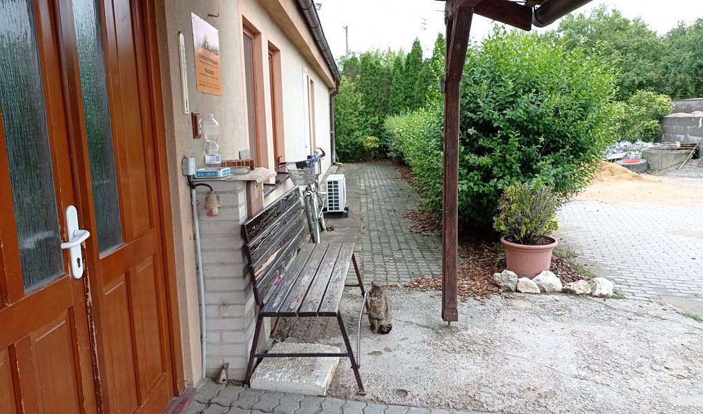 Prodej výrobních prostor 4 954 m², Mikulov – náhled fotky 27