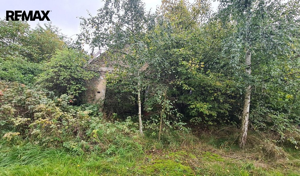 Prodej stavebního pozemku 1 798 m², Kovářov – náhled fotky 3