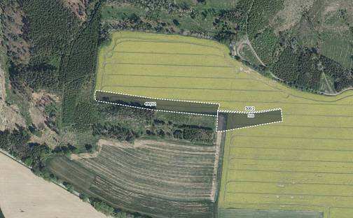 Prodej pole 19 979 m², Hořice, okres Pelhřimov