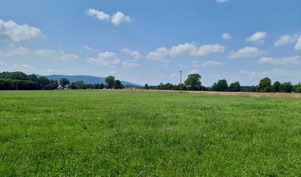 Prodej pole 7 527 m², Ropice – náhled fotky 3