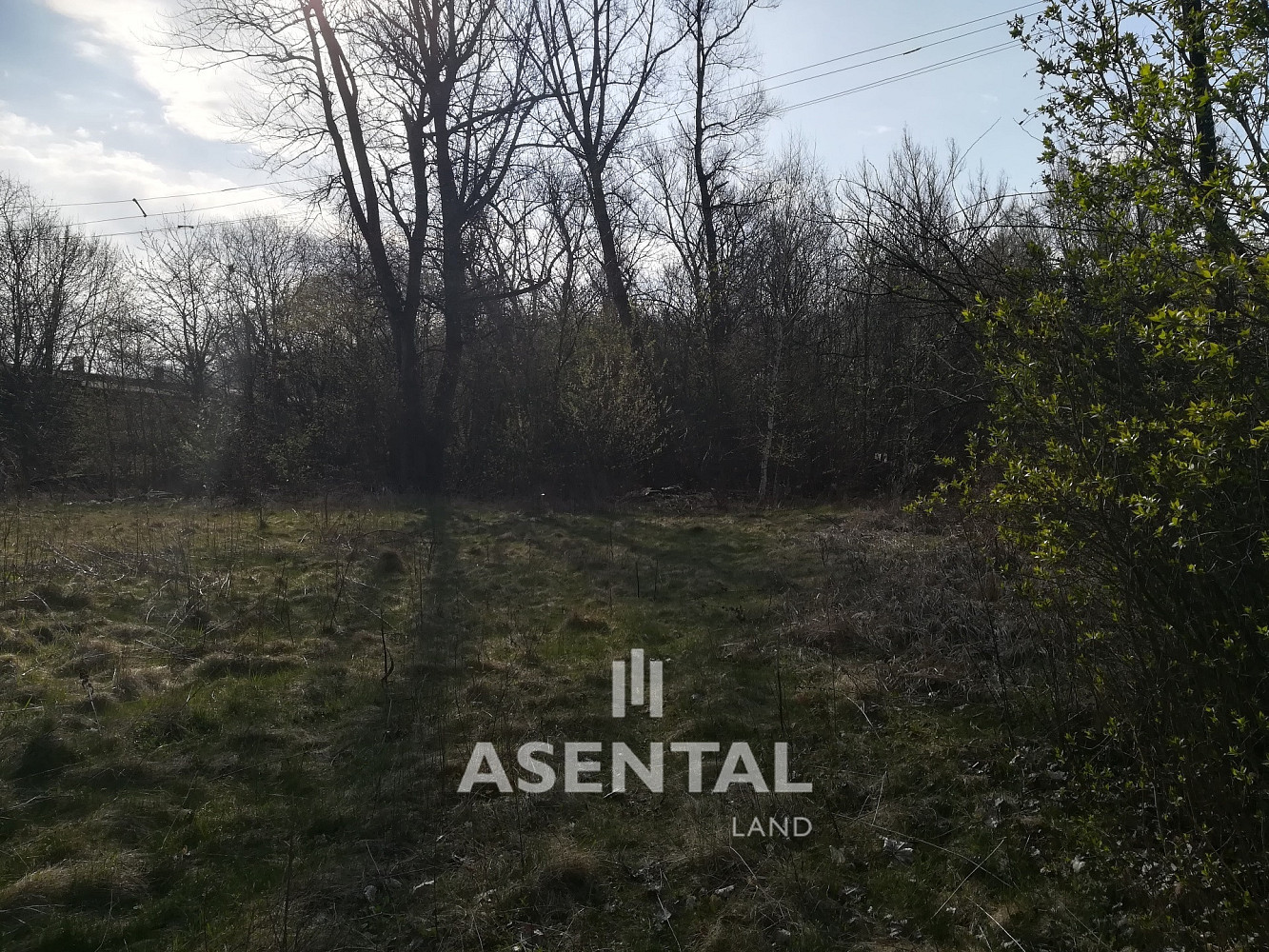 Prodej komerčního pozemku 7 294 m² – fotografie 2