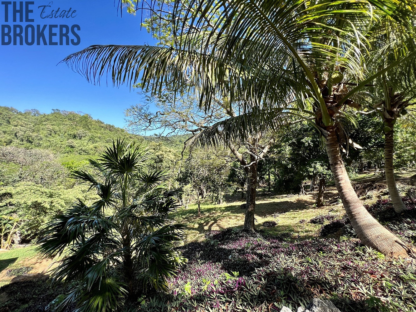 LOT 10 Bodden Bight Estate, Roatan – pohled 3
