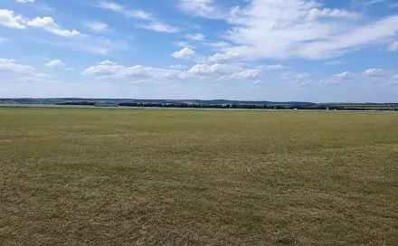 Prodej pozemku 7 465 m², Pustiměř, okres Vyškov