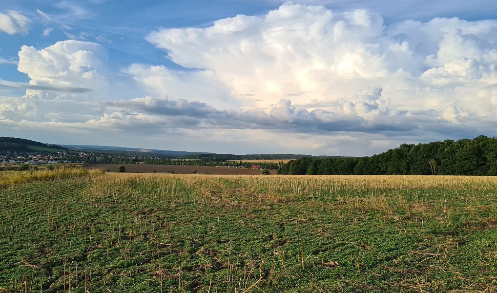 Prodej komerčního pozemku 22 239 m², Plzeň – náhled fotky 9