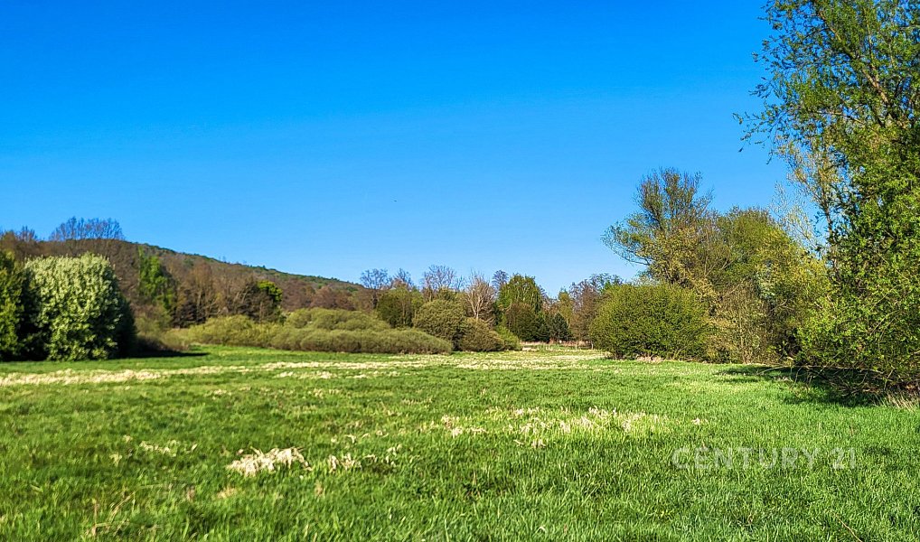 Prodej pozemku 59 956 m², Stružnice – náhled fotky 3