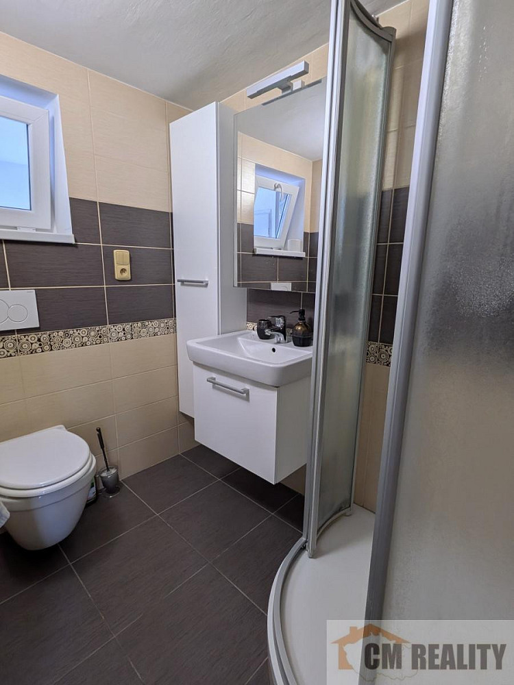 Prodej domu 245 m² s pozemkem 328 m² – fotografie 3