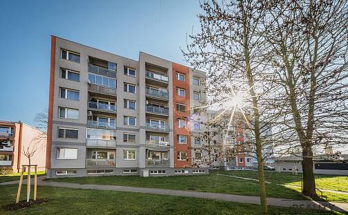 Prodej bytu 3+1 65 m², Lesní, Hodonín