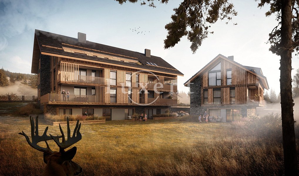 Prodej bytu 1+kk 49 m², Prášily – náhled fotky 2