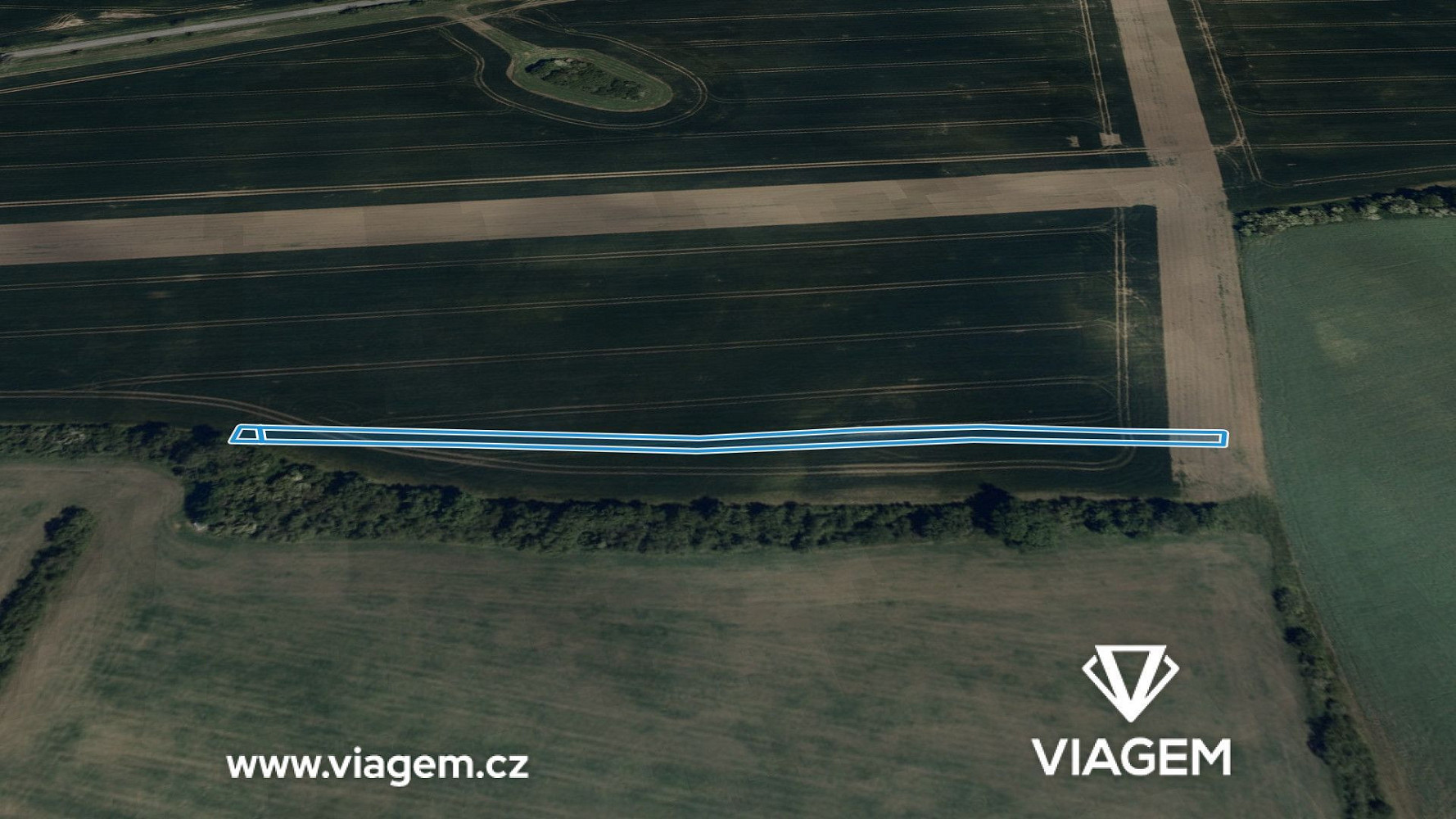 Prodej pole 1 312 m² – fotografie 2