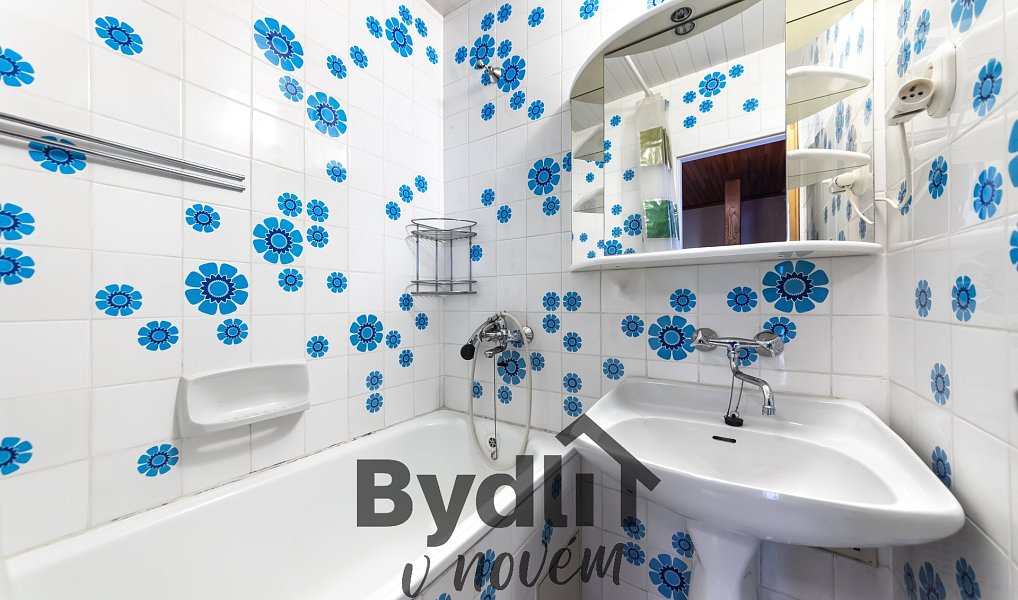 Prodej domu 265 m² s pozemkem 685 m², Brno – náhled fotky 19