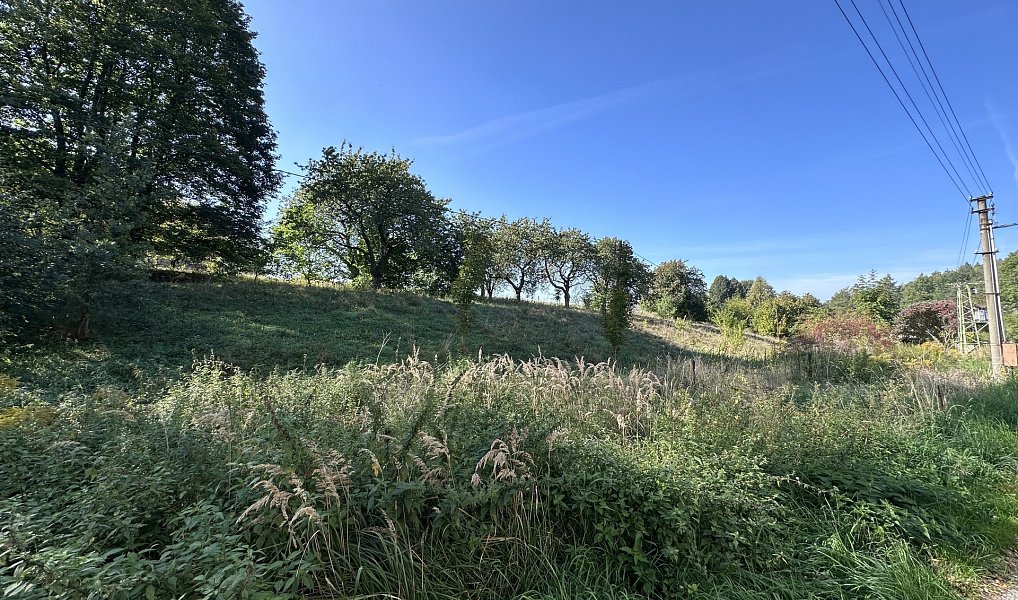 Prodej stavebního pozemku 3 863 m², Rynoltice – náhled fotky 6