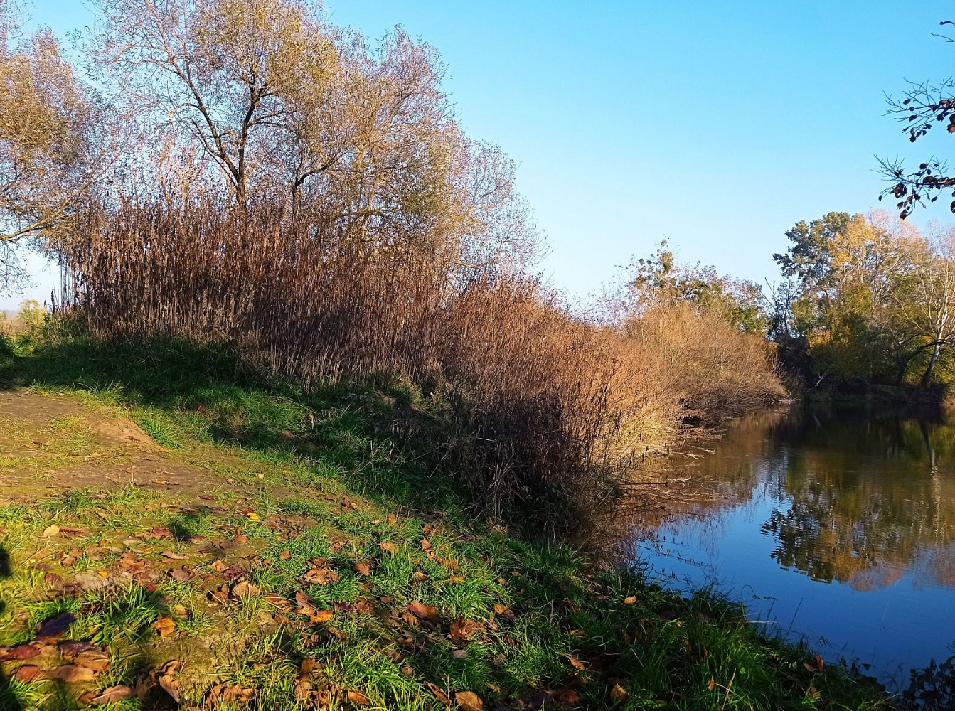 Prodej louky 5 838 m² – fotografie 4