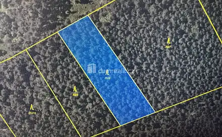 Prodej lesa 2 877 m², Nebahovy - Jelemek, okres Prachatice