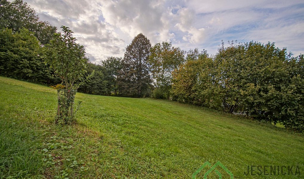 Prodej stavebního pozemku 2 119 m², Žulová – náhled fotky 7
