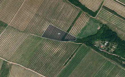 Prodej pole 12 133 m², Nový Šaldorf-Sedlešovice - Sedlešovice, okres Znojmo