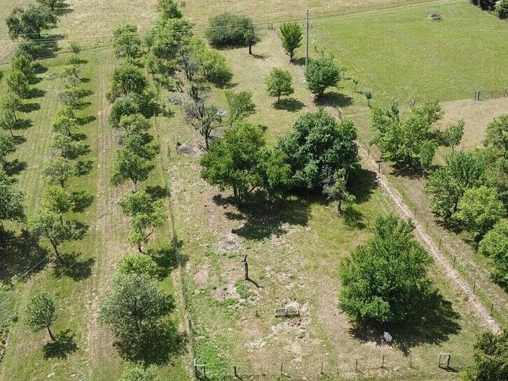 Prodej pole 1 102 m² – fotografie 4