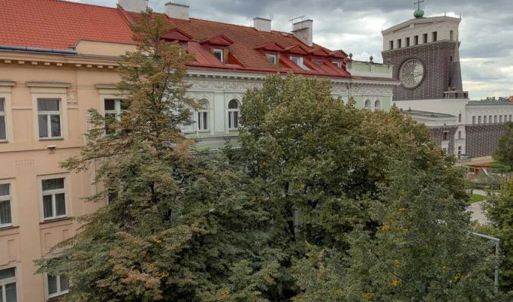 Pronájem bytu 2+1 85 m², Praha – náhled fotky 18