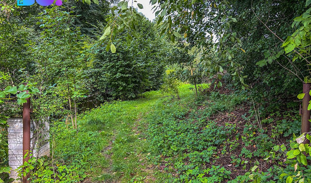 Prodej stavebního pozemku 3 959 m², Skuhrov – náhled fotky 11