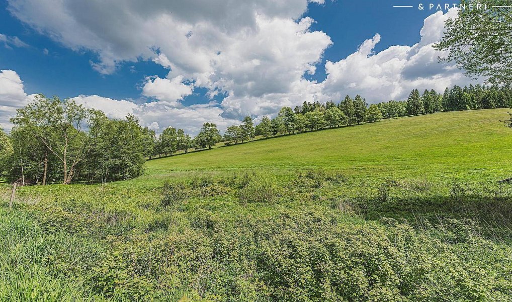 Prodej stavebního pozemku 5 600 m², Olešnice v Orlických horách – náhled fotky 11