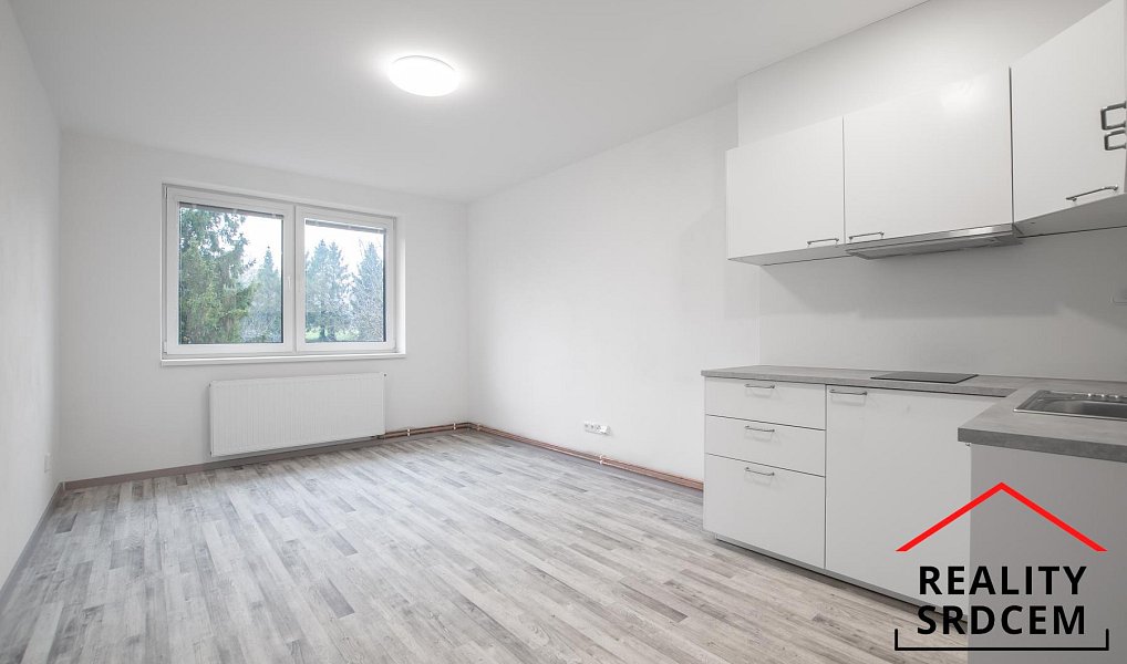 Pronájem bytu 1+kk 28 m², Bílovec – náhled fotky 2