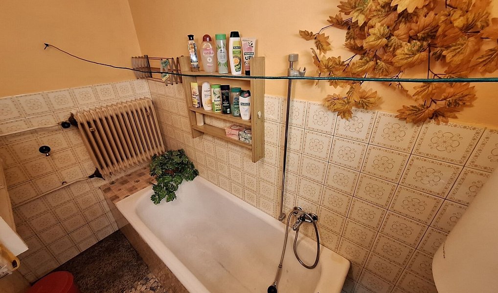 Prodej domu 67 m² s pozemkem 218 m², Letonice – náhled fotky 13
