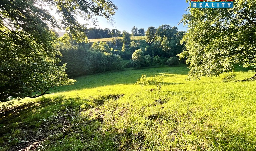 Prodej louky 5 449 m², Teplice nad Metují – náhled fotky 15