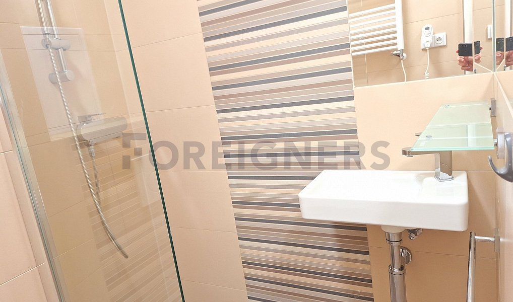 Pronájem bytu 1+1 53 m², Olomouc – náhled fotky 8