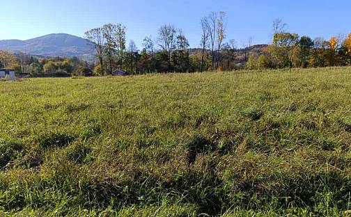 Prodej stavebního pozemku 1 481 m², Lichnov, okres Nový Jičín