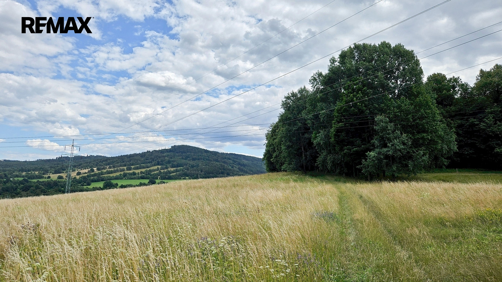 Prodej lesa 26 680 m² – fotografie 3