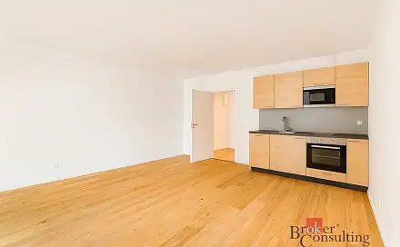 Pronájem bytu 1+kk 38 m²