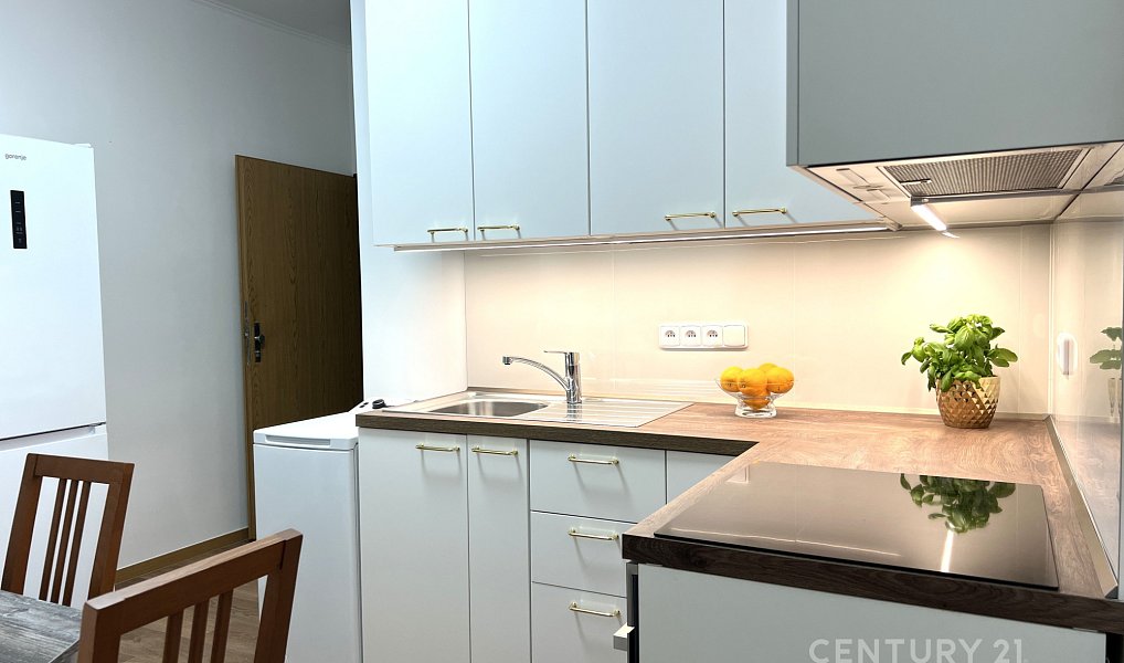 Pronájem bytu 2+1 45 m², Brno – náhled fotky 7