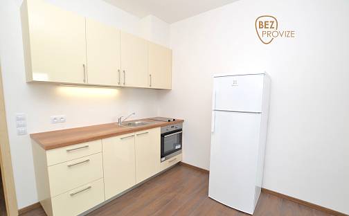 Pronájem bytu 1+kk 34 m², U Mlýnského kanálu, Praha 8 - Karlín