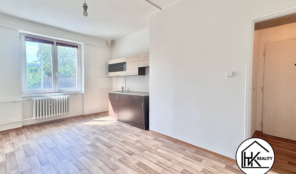 Pronájem bytu 1+kk 21 m², Teplice – náhled fotky 4