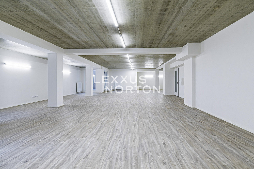 Pronájem kanceláře 130 m² — photo 3
