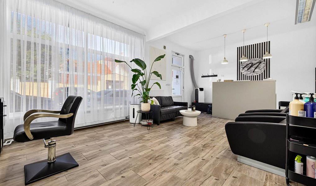 Prodej domu 489 m² s pozemkem 332 m², České Budějovice – náhled fotky 6